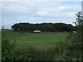 Farmland towards The Clumps woodland, Larling Heath in Roudham and Larling