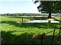 Pond at Mountpleasent Farm with The Forest in the distance in WR9 0PY