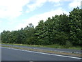 Woodland beside the A11 near Attleborough in NR17 1GL