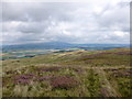 Moorland on Gargunnock Hills in FK8 3BA