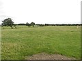 Grass field at East Benridge in NE61 3JL