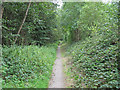 Cycle Route and Footpath, Ellingham in Ellingham and Kirby Cane