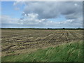 Fenland field, Mile End in CB7 4SJ