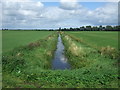 Drain off Farthing Drove in IP28 8EG