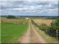 Path from Townfield House to Town Farm Quarry in WA6 8NL