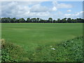 Flat field off Farthing Drove in IP28 8EG