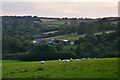 West Dorset : Countryside Scenery in DT8 3PD