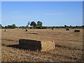Harvested field off Mile Drove near Glinton in PE6 7JN