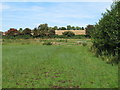 Path on Marshy Land, Darsham Marshes Nature Reserve in IP17 3EL