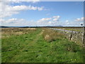 Pennine Bridleway beside the road in Cliviger with Worsthorne Ward
