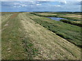 Sea bank on Deepdale Marsh on the Norfolk coast in Burnham Norton