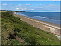 View north along the Durham Heritage Coast in TS27 4NN