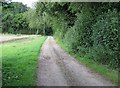 Track near Shear Down Farm in RG23 7ET