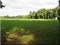 Cricket field - Malshanger Estate in RG23 7ET