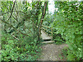 Footbridge on path from Copthorne to Balcombe Road in RH10 3ER