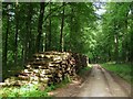 Timber Stacks, Barnstake Copse in BN13 3UL