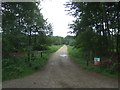 Track into Gravelpit Wood in IP27 0FE