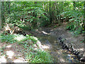 Stream at corner of Heathy Ground Wood in RH10 3ER