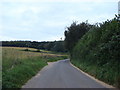 Fyning Lane looking towards Fyning Wood in GU31 5EE