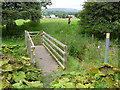 Footbridge over Jenkin Beck in LA6 3FA