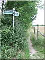 Footpath And Byway Sign in CB25 0HZ