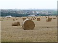 Harvest in, north of Brough House Farm in TS12 2QW