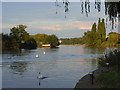 The River Thames, Reading in RG1 5RT
