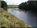 River Tyne near Newbrough in NE47 5AG