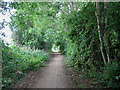 Marriott's Way near Blackwater, looking south-east in Great Witchingham