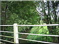 Bridge over a tributary of the River Wensum in NR10 4RF