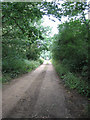 Dead-end track at Windy Ridge in NR9 5QT