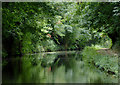 Staffordshire and Worcestershire Canal near Oxley, Wolverhampton in WV6 0TT