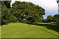 Playing field at Eden Park in BR3 3XB