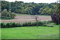 Fields opposite Hexton Church in SG5 3JL