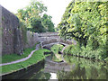 Foden Bank Bridge (No 43), Macclesfield Canal, Cheshire in SK11 0HQ