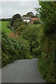 Country road to Rapson in EX19 8TW