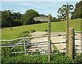Bridleway signs, Minterne Park in DT2 7AX
