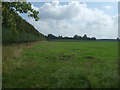 Field off Cole End Lane in CB10 2LQ