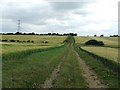 Footpath Pylons And Fields in CB11 4EY