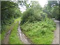 Access track to woodland in EX20 3LU