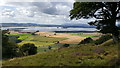 View towards Loch Leven from Kilmagad Wood in KY13 9JN