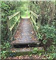Footbridge on the Wey-South Path in RH20 1LU