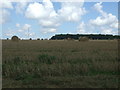 Stubble field with bales in CB9 7DY