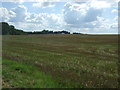 Stubble field, Boyton End in Wixoe