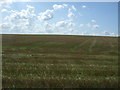 Hillside stubble field, Boyton End in Wixoe