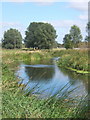 Gentle bends of the River Gipping in IP8 4DD