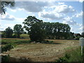 Stubble field near the River Glem, Scotchford Bridge in CO10 7PT