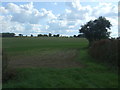 Field beside drain, Shimpling in IP29 4HD