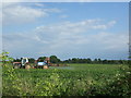 Crop spraying near Hibb's Green in IP29 4QQ
