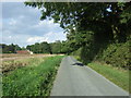 Bull Lane towards Pinford End in IP29 5NU